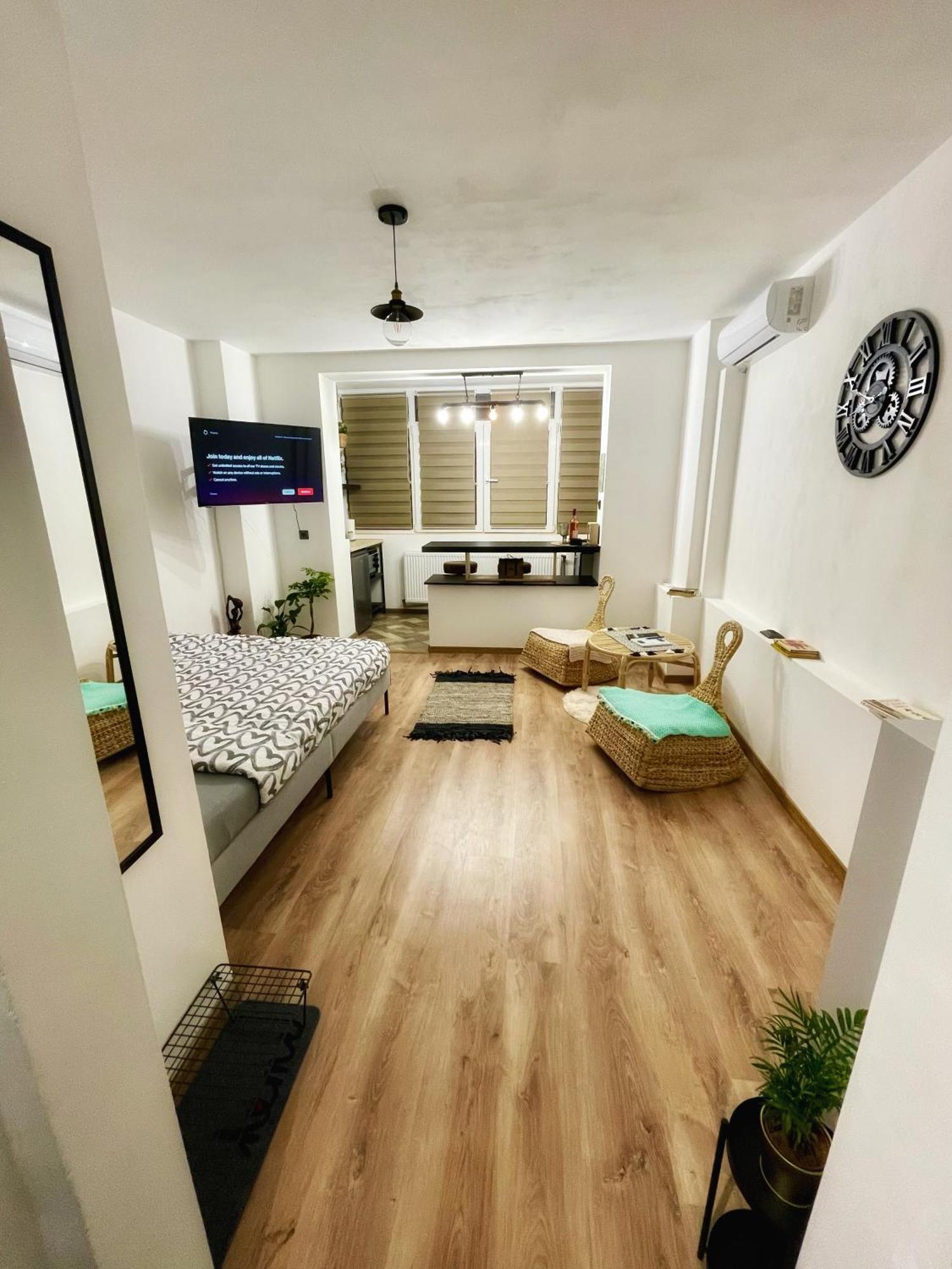 2 Vis-a-vis - Gara De Nord Apartment